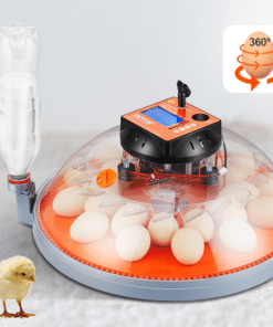 Egg Incubator Automatic